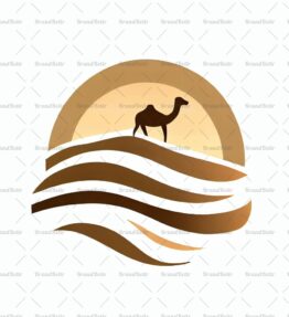 Sanddünen und Kamel